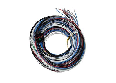 FuelTech FT450/550 A Unterminated Harnesses - 2001005570